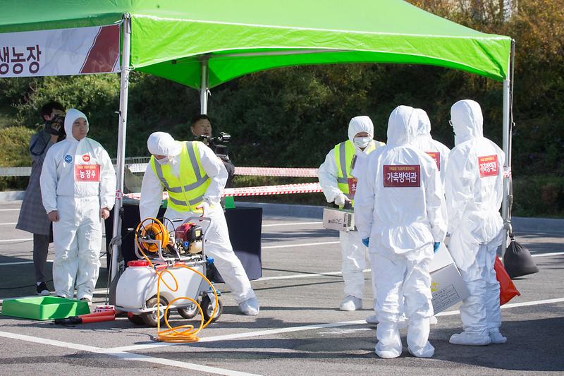 Young-3224.jpg 이미지