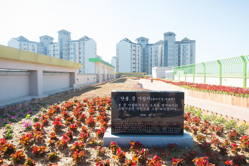 Young-6035.jpg 이미지