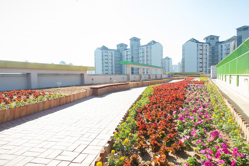 Young-6039.jpg 이미지