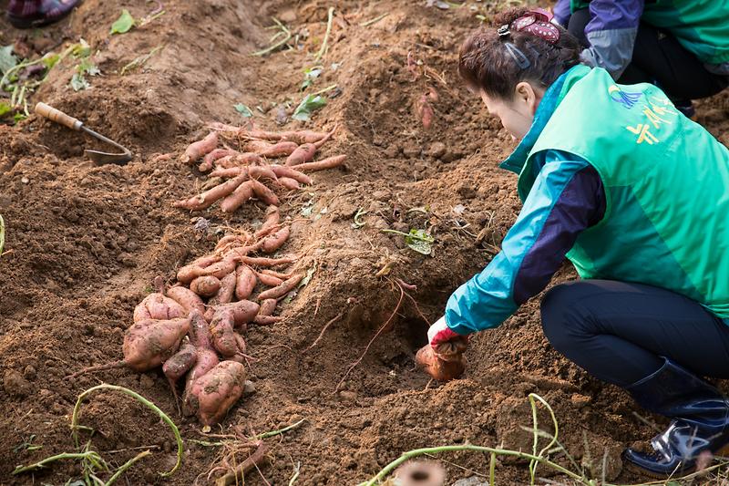 Young-7982.jpg 이미지