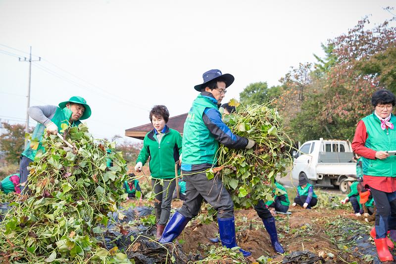 Young-8126.jpg 이미지