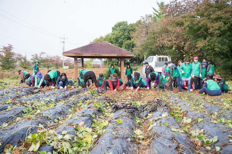 Young-8232.jpg 이미지