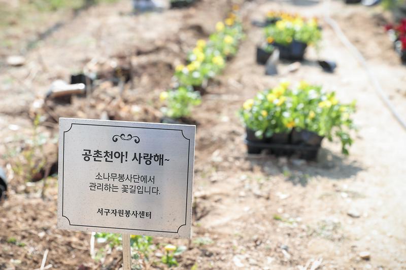 Young-0073.jpg 이미지