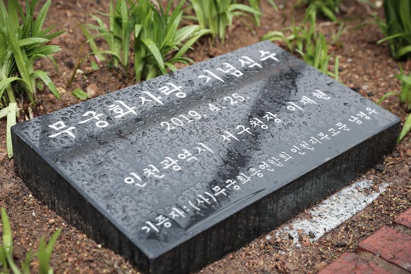 Young-0168.jpg 이미지