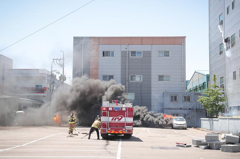 Young-3340.jpg 이미지