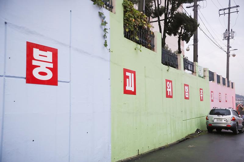 Young-3393.jpg 이미지