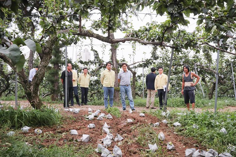 Young-4002.jpg 이미지