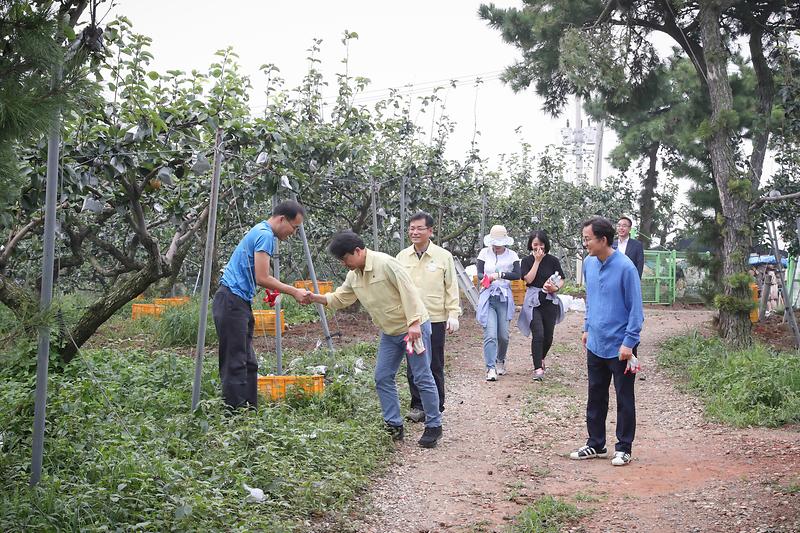 20190909 태풍 피해지역 군관 협업 봉사활동 사진