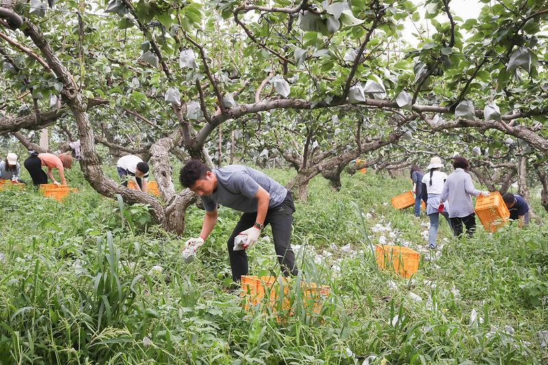 Young-5036.jpg 이미지