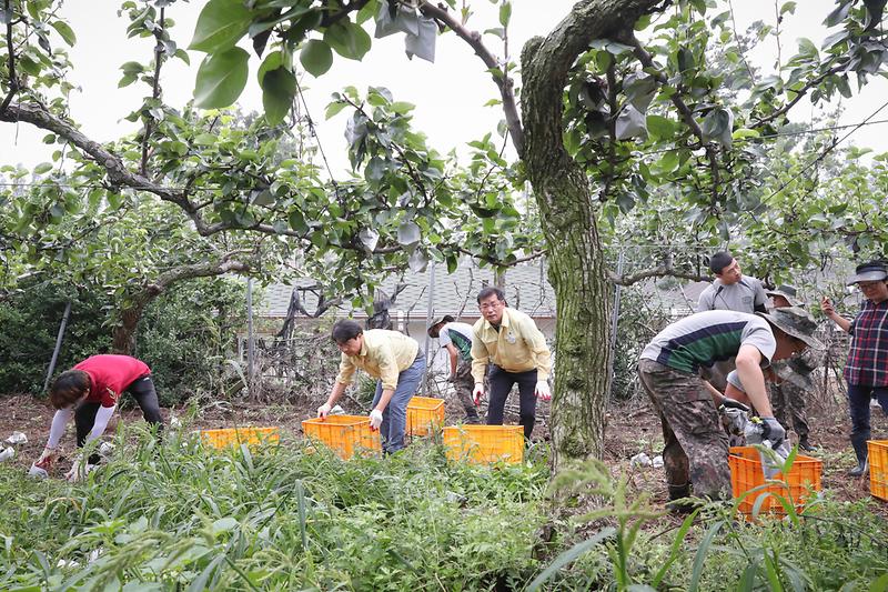 Young-5089.jpg 이미지