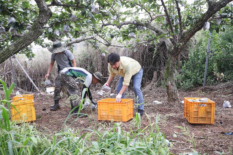 Young-5117.jpg 이미지