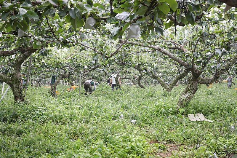 Young-5298.jpg 이미지