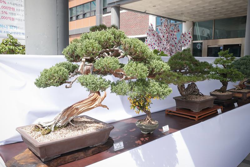 Young-5887.jpg 이미지