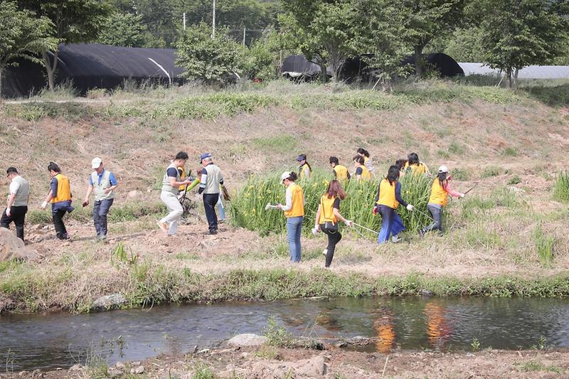 Young-9301.jpg 이미지