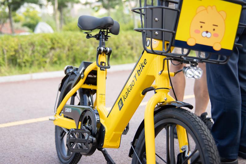 Young-5058.jpg 이미지