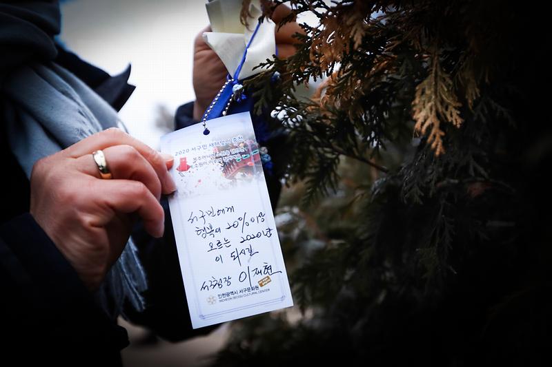 Young-6329.jpg 이미지