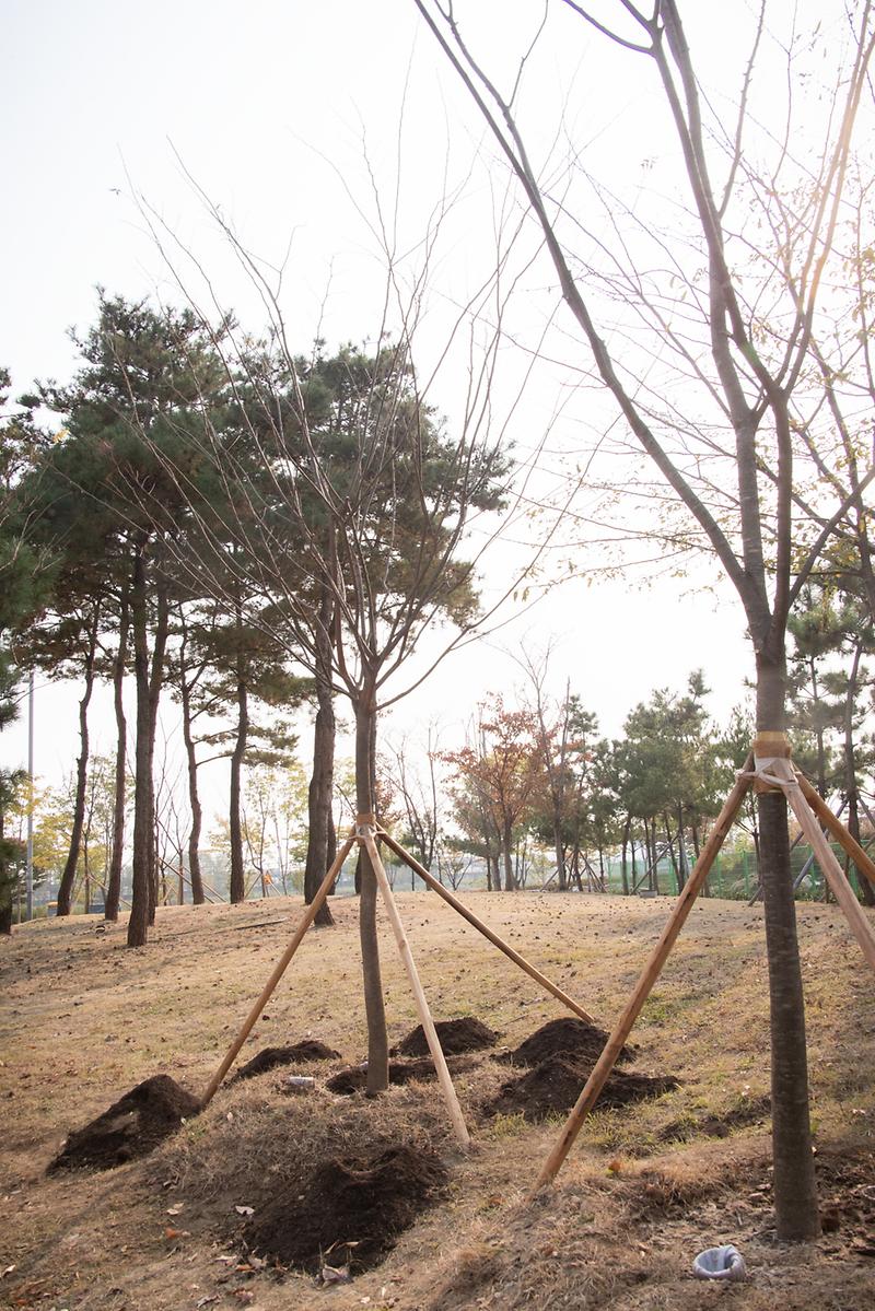 Young-7529.jpg 이미지