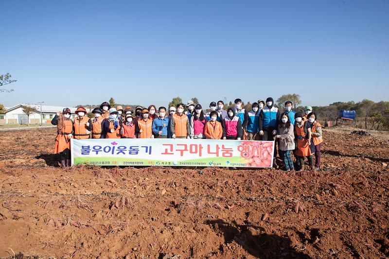 20211028 인천사회봉사협의회 고구마 수확 사진