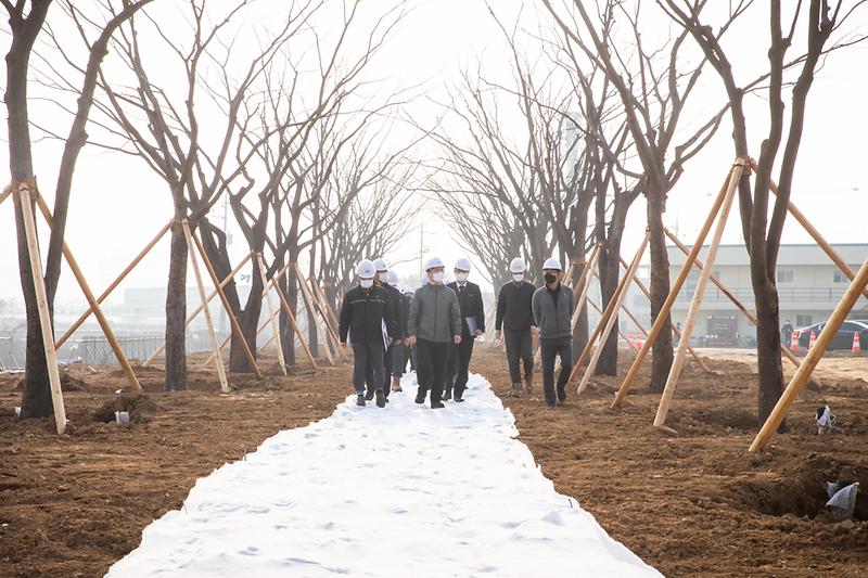 20210310 경서3구역 느티나무300숲길 현장방문 사진