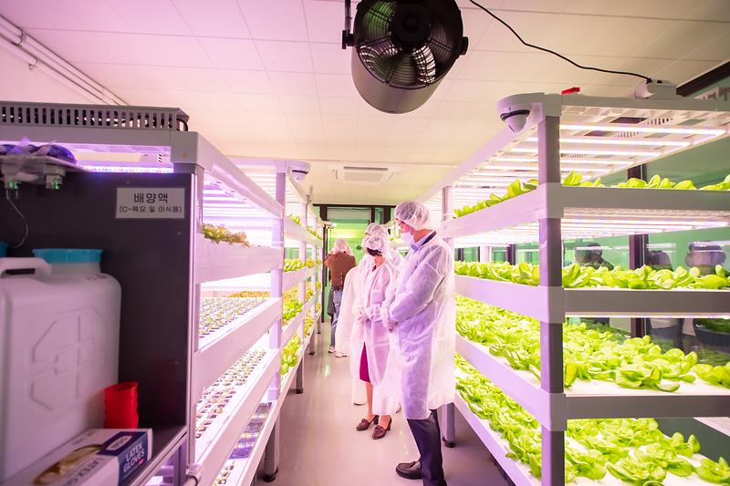 Young-0771.jpg 이미지