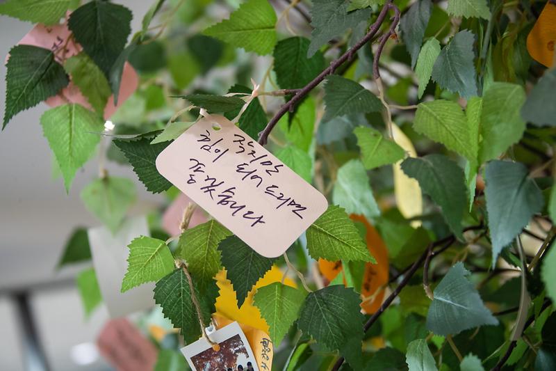 Young-1447.jpg 이미지