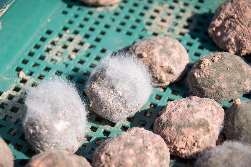 Young-4354.jpg 이미지