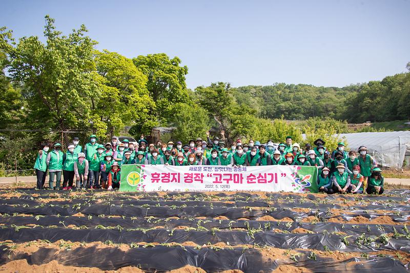 20220512 서구새마을회 고구마 심기 현장방문 사진