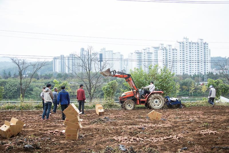 Young-6342.jpg 이미지