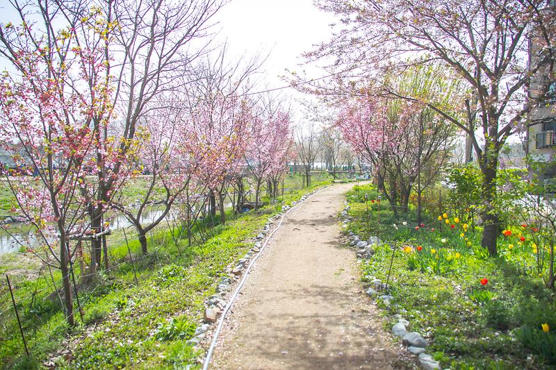 Young-3874.jpg 이미지