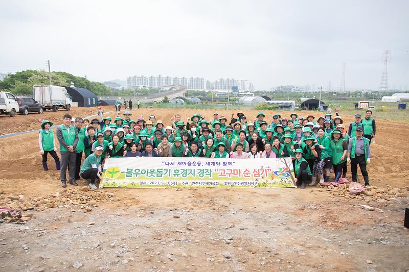 20230518 서구새마을회 고구마 순 심기 행사 사진