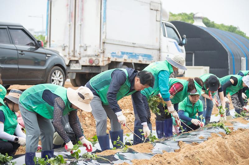 Young-5703.jpg 이미지