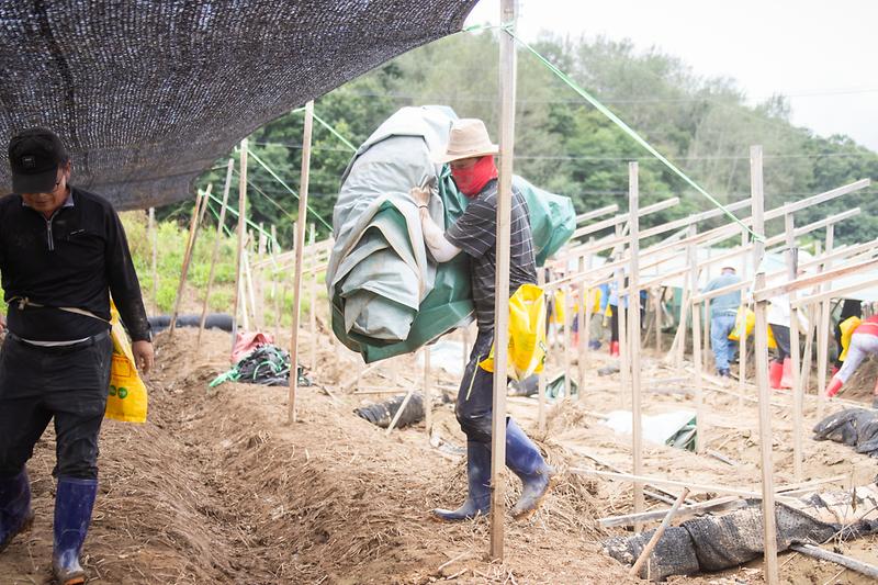 Young-5859.jpg 이미지