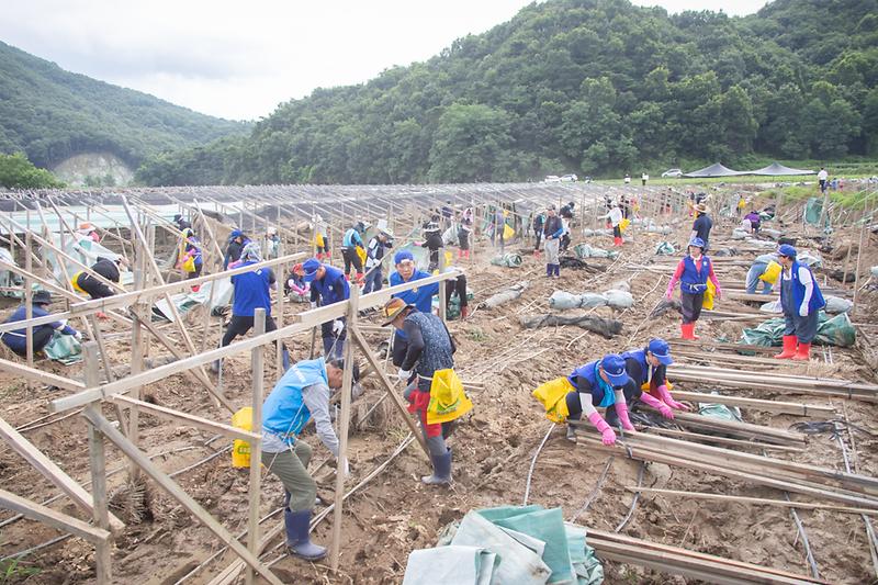 Young-6027.jpg 이미지