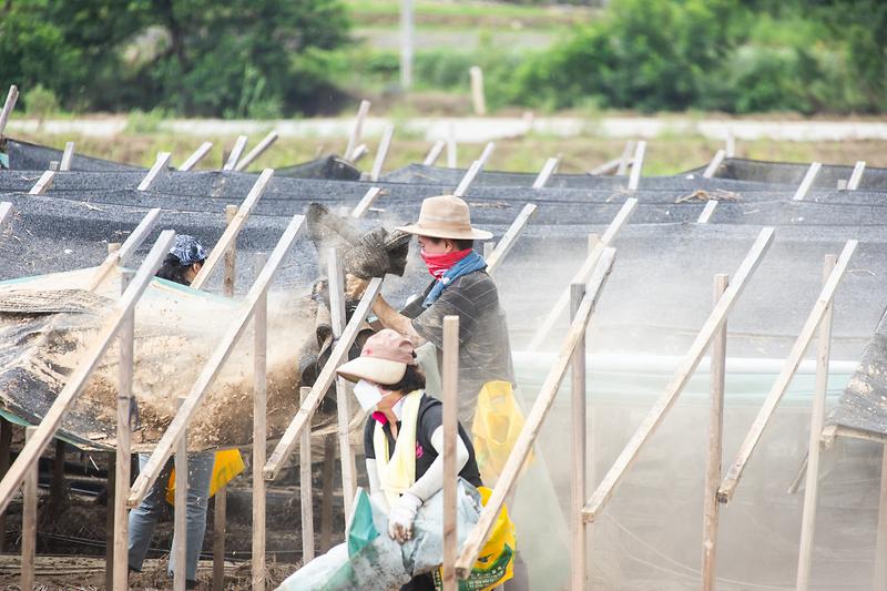 Young-6042.jpg 이미지