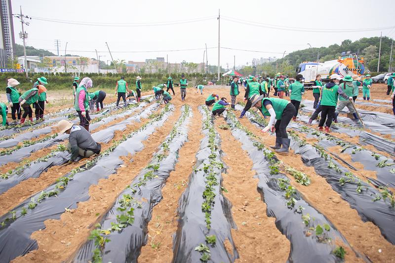 Young-6231.jpg 이미지