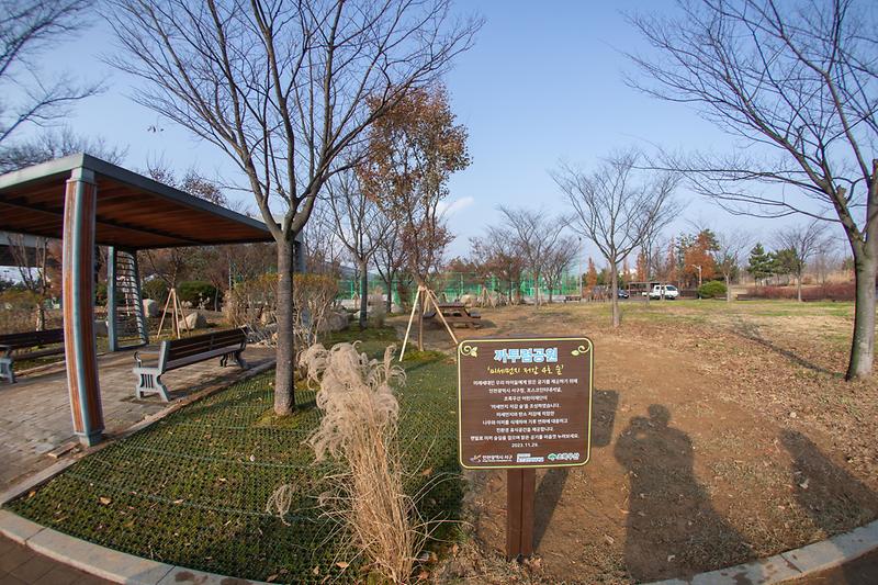 Young-6382.jpg 이미지