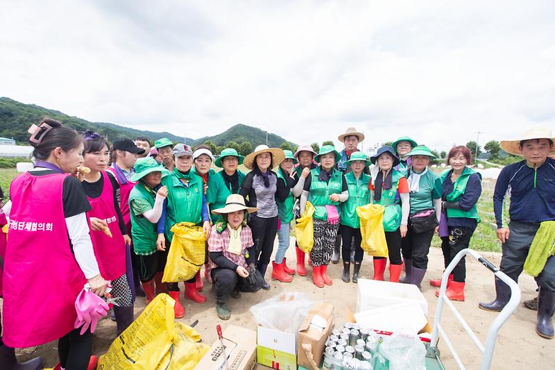 Young-6428.jpg 이미지