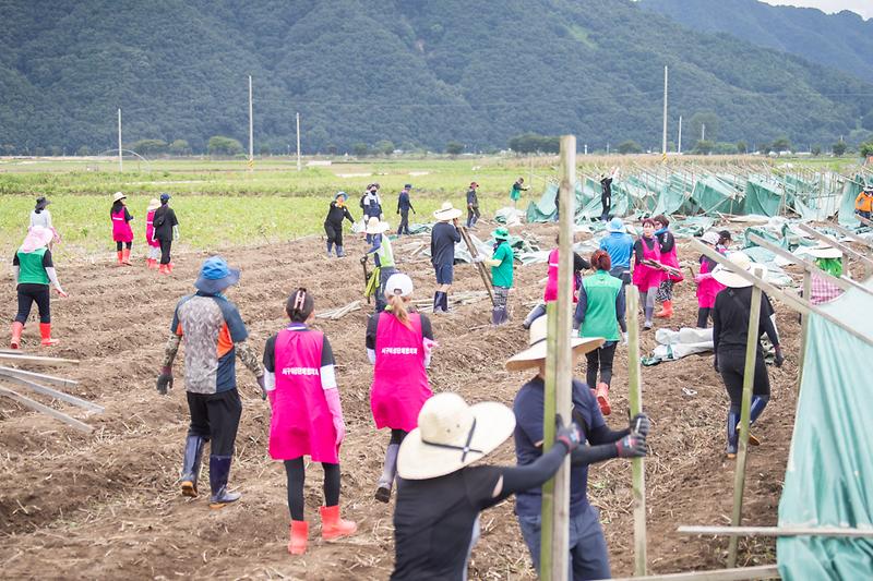 Young-6488.jpg 이미지