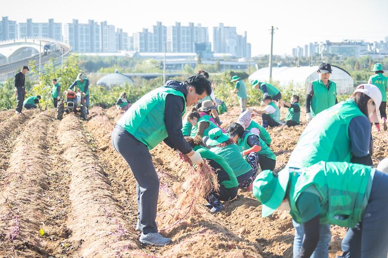 Young-8085.jpg 이미지