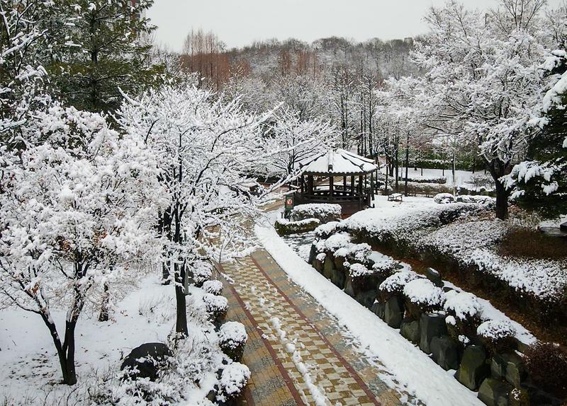 가좌완충녹지_설경_드론촬영-012.jpg 이미지