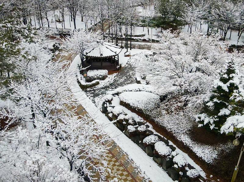 가좌완충녹지_설경_드론촬영-017.jpg 이미지