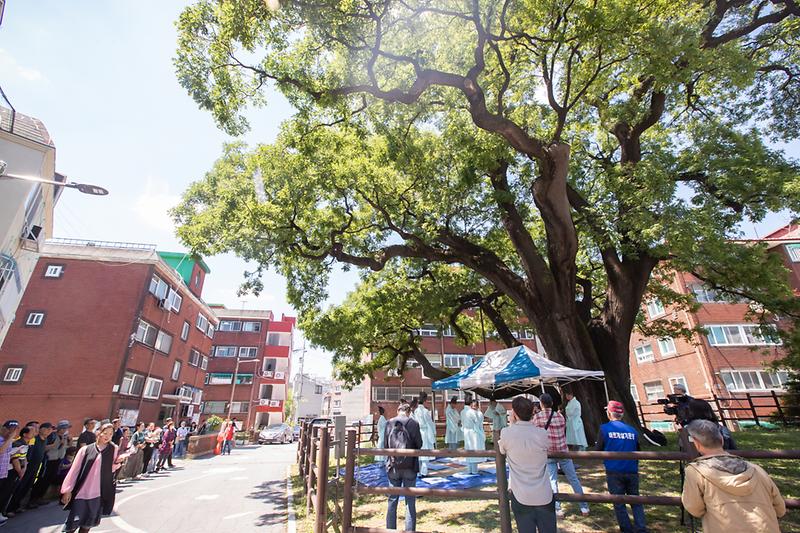 Young-2489.jpg 이미지