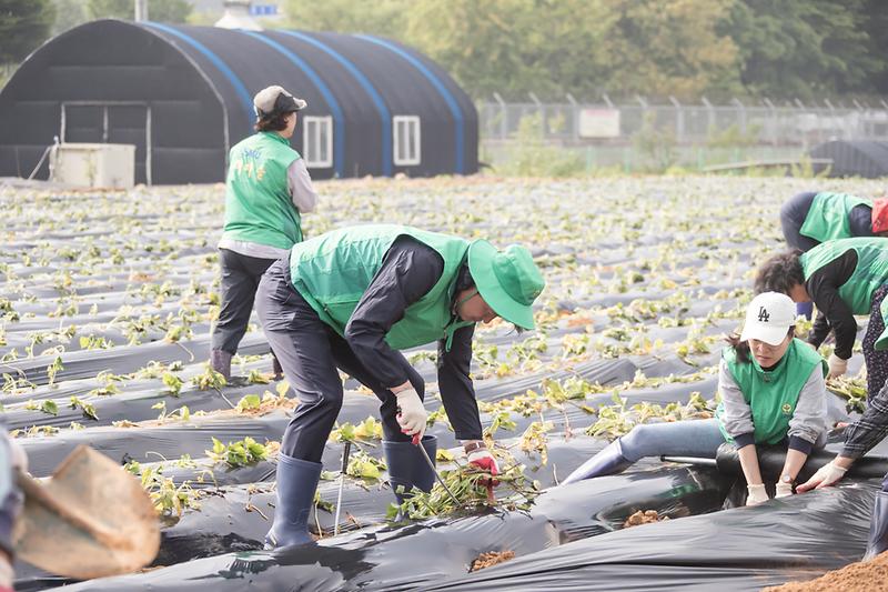 Young-4236.jpg 이미지