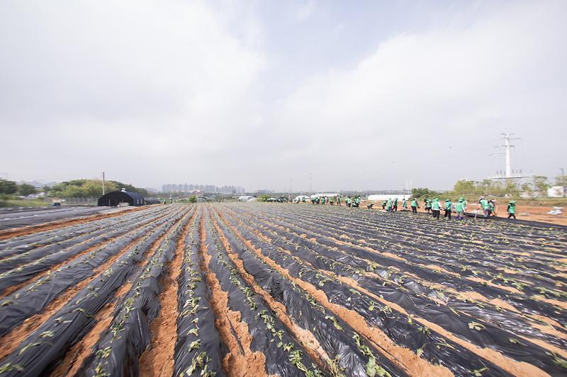 Young-4419.jpg 이미지