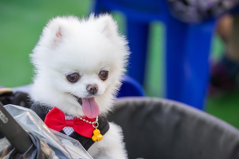 Young-5676.jpg 이미지