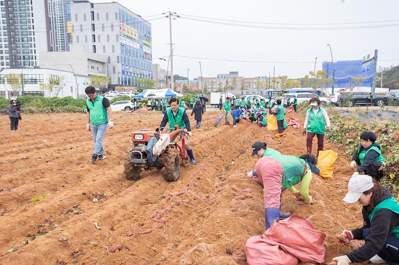 Young-7066.jpg 이미지