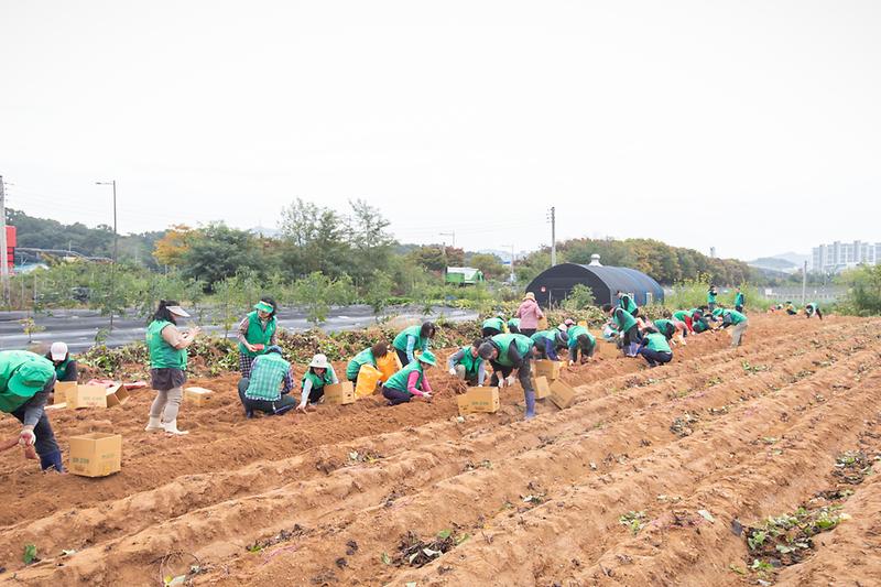 Young-7224.jpg 이미지