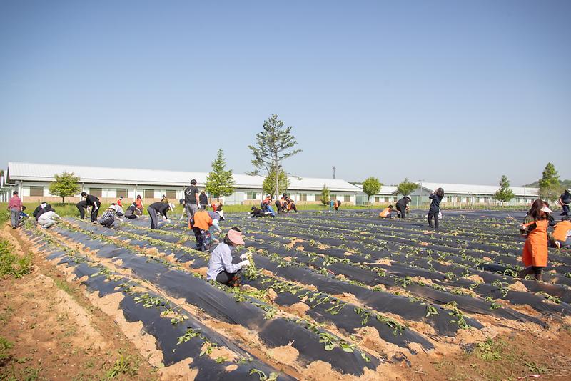 Young-8543.jpg 이미지