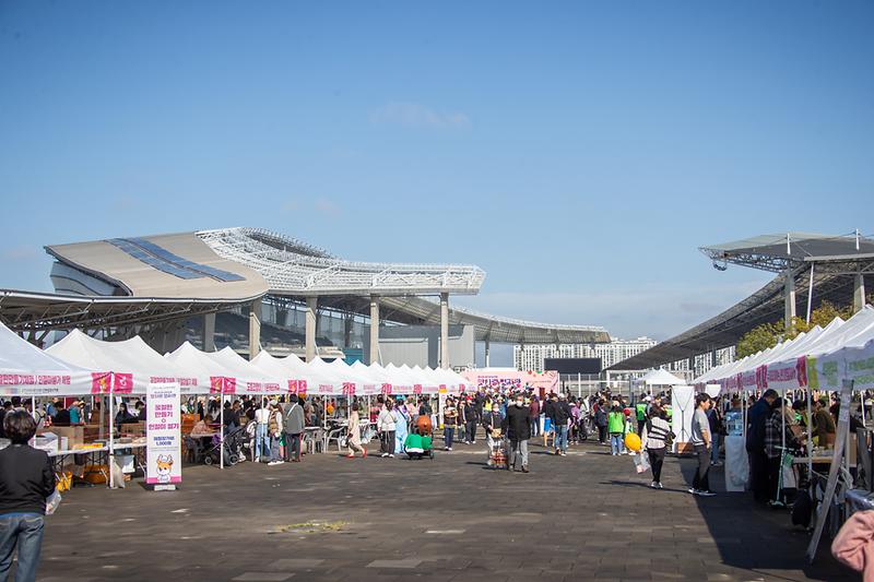 Young-8608.jpg 이미지