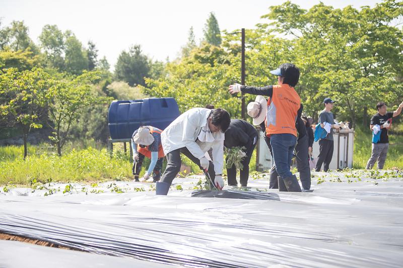 Young-8662.jpg 이미지